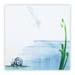 PondLife006